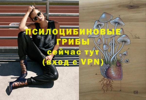 бошки Верхний Тагил