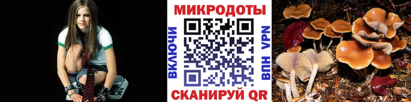 Галлюциногенные грибы мухоморы  Дербент 